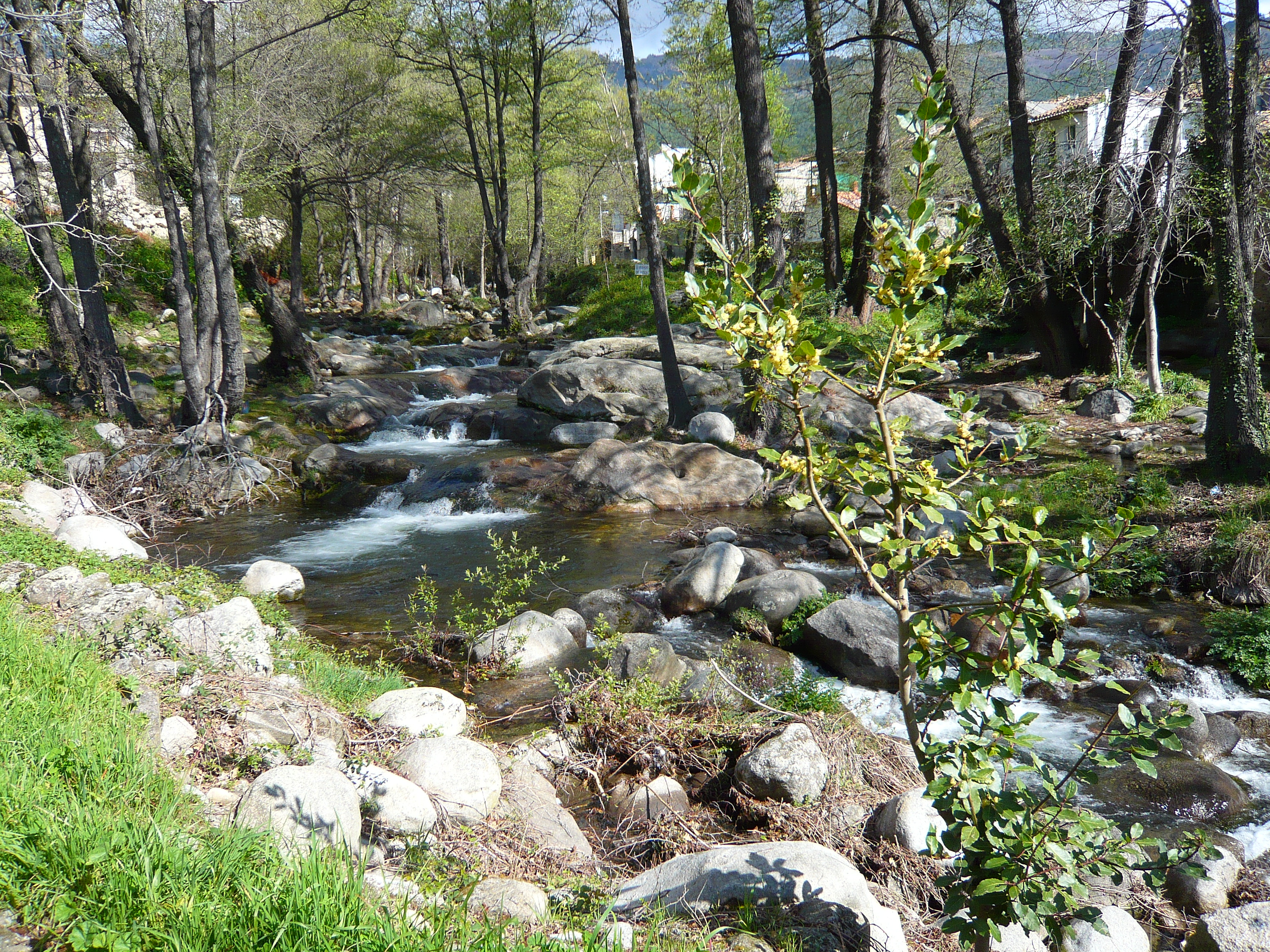 Sitios De Citas En Piedralaves